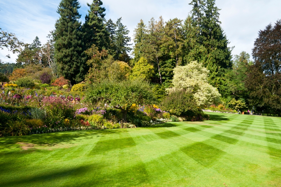 Ogród w zgodzie z naturą – jakie rośliny wybrać, by dbać o środowisko?