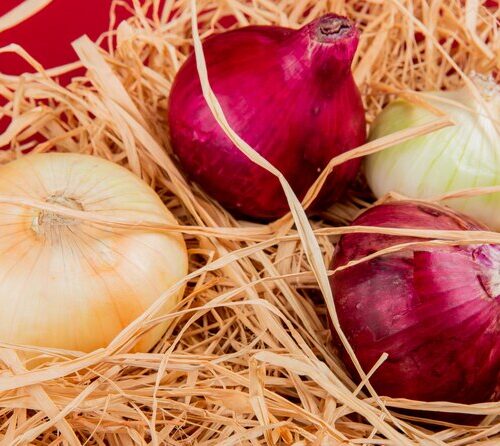 Nasiona cebuli: Klucz do zdrowego ogrodu i pysznych dań